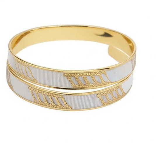 Kavya Bangle (2 Pis) - Wortica